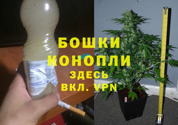 ешки Белокуриха