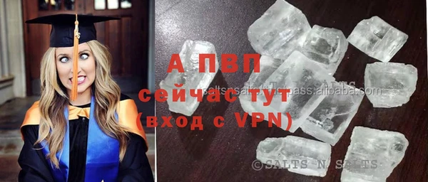 ешки Белокуриха