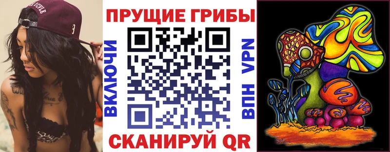 OMG вход Верхний Уфалей Галлюциногенные грибы ЛСД